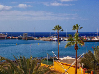 Dive Resort Ocean Dreams Tenerife Arona  Exterior photo